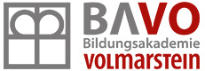 BAVO Logo